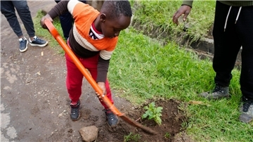 Auch er packt mit an: Der 5-jährige Tzuriel Kipngeno pflanzt in Nairobi einen Casaurina-Baum am Straßenrand.
