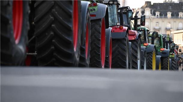Hunderte Bauern blockieren Autobahnen in Niederlanden Auch in den Niederlanden protestieren Bauern gegen die europäische Agrarpolitik. (Symbolbild/Archivbild)