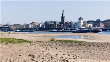 Auch in Düsseldorf ist das Niedrigwasser des Rheins nicht zu übersehen.
