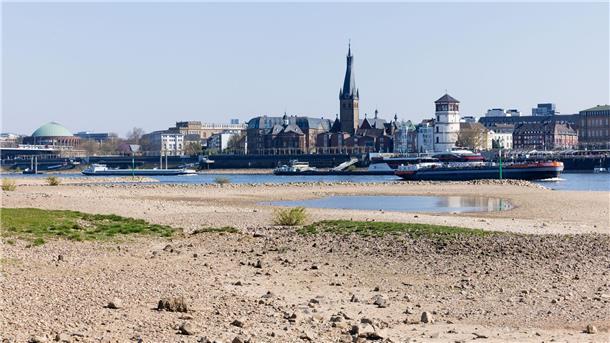 Auch in Düsseldorf ist das Niedrigwasser des Rheins nicht zu übersehen. (Archivbild)