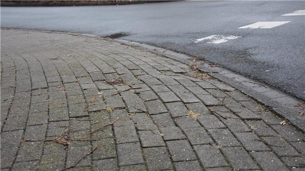 Schadhafte Radwege in Tiste: Senioren haben Angst vor schweren Stürzen Das Foto zeigt hochgedrückte Pflastersteine.
