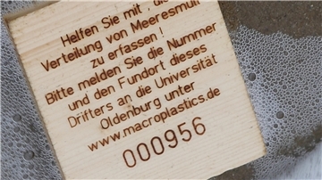 Holztäfelchen für den Plastikversuch