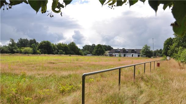 Auf dem ehemaligen Sportplatz des ESV Bremerhaven direkt am Bürgerpark werden 20 Baugrundstücke erschlossen. Das Gebäude im Hintergrund war früher das Vereinsheim, heute ist es eine Kindertagesstätte.