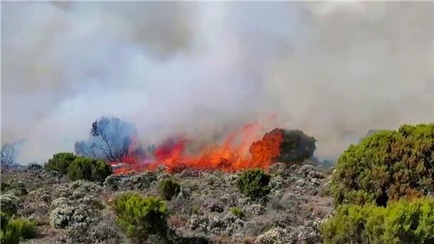 Großfeuer wütet weiter auf Kilimandscharo Auf dem höchsten Berg Afrikas wütet seit einigen Tagen ein Feuer.