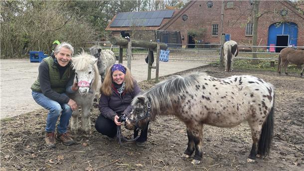 Zwei Frauen mit zwei Shetland-Ponys auf einer Koppel