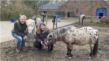 Zwei Frauen mit zwei Shetland-Ponys auf einer Koppel