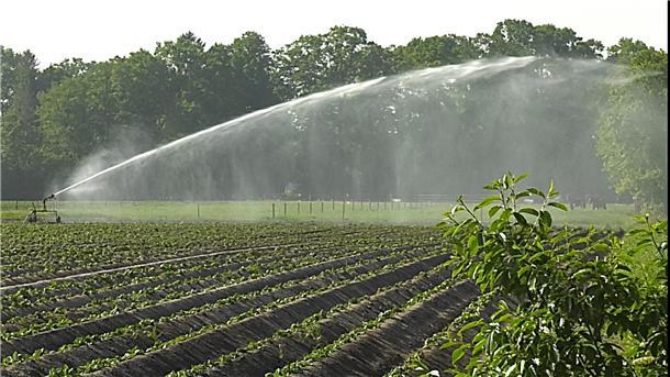 Regenmangel bedroht die Ernte: Tarmstedter Landwirt in Sorge Auf den ersten Äckern sind sie schon zusehen: die großen Bewässerungsanlagen - und das nicht nur auf den Kartoffelfeldern.