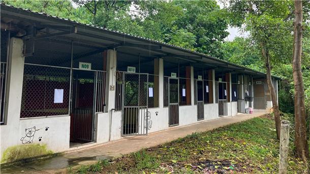 „Welpenmast“ in Vietnam: Wo Hunde durch die Hölle gehen Auf den Farmen fristen die Hunde ein Dasein in Betonkäfigen.