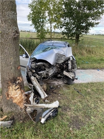 Kaputtes Auto Baum