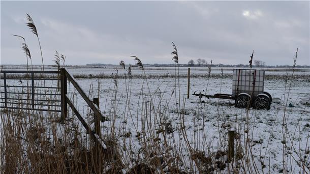 Auf diesen Grünland-Flächen etwa 1.200 Meter von Seefeld entfernt soll ein Windpark entstehen.