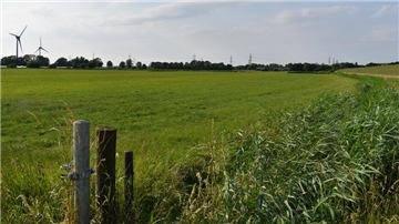 Deshalb will die Gemeinde Stadland eine neue Straße verhindern Auf diesen Grünland-Flächen unweit des stillgelegten Kernkraftwerks in Kleinensiel will Tennet für zwei geplante Konverter-Stationen eine Zufahrtsstraße von der Dedesdorfer Straße kommend errichten.