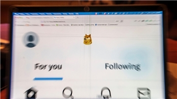 Auf einem Laptop-Display ist die Startseite von Twitter zu sehen, die anstelle des Twitter-Logos das Symbol der Digitalwährung Dogecoin zeigt.