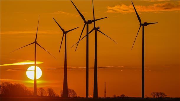 Windräder auf einem Feld. Im Hintergrund ist die aufgehende Sonne zu sehen.