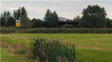 Eine Weide im Vordergrund, Straßen und eine Brücke im Hintergrund.