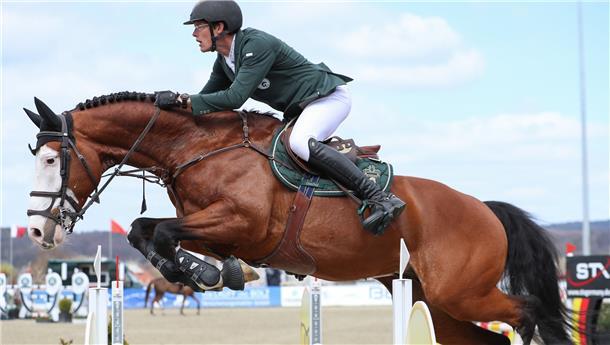 Auf „Oak Grove’s Clown“ startete Harm Lahde im letzten Jahr beim Internationalen Reitturnier Horses & Dreams in Hagen am Teutoburger Wald.