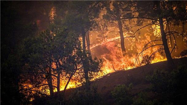 Brände auf Rhodos wüten weiter Auf Rhodos toben nach wie vor massive Waldbrände.