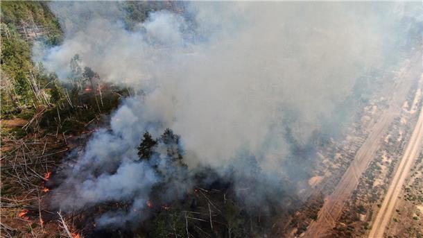 Waldbrand bei Jüterbog ausgeweitet - Gefahr in Nordsachsen Auffrischender Wind hat den Waldbrand in einem mit Munition belasteten Waldgebiet südlich von Berlin angefacht und die betroffene Fläche auf 326 Hektar mehr als verdoppelt.
