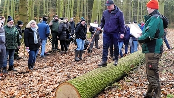 Bei der Holzauktion in Holßel balanciert Auktionator Uwe Lielienthal auf einem gefällten Baumstamm, während er den Anwesenden die Holzsorte erläutert.