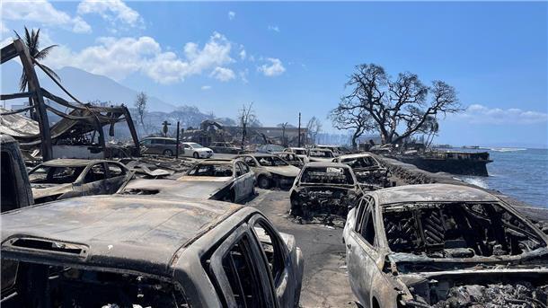 Deutscher auf Maui: „Wir sind gerade noch rausgekommen“ Ausgebrannte Autos stehen nach dem Waldbrand in Lahaina, Hawaii.