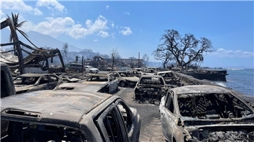 Ausgebrannte Autos stehen nach dem Waldbrand in Lahaina, Hawaii.