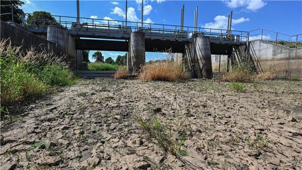 Ausgetrockneter Teilabschnitt des Flusses Schwarze Elster in Südbrandenburg im vergangenem Sommer.