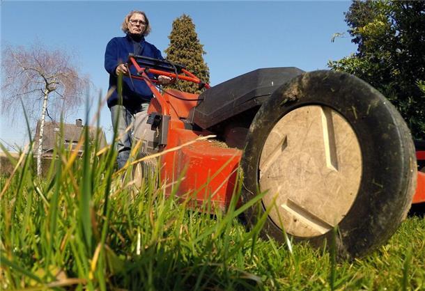 Den ersten Schnitt bekommt der Rasen eines Hobbygärtners.