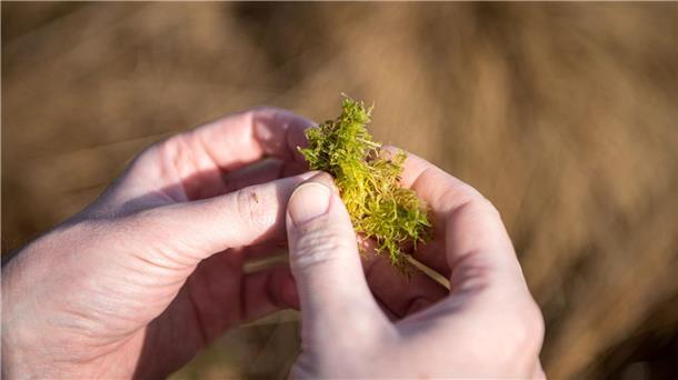 EU-Parlament stimmt mit Mehrheit für Naturschutzgesetz Bauernverbände haben die Sorge, dass Landwirte durch Vorgaben zu sehr eingeschränkt werden könnten.