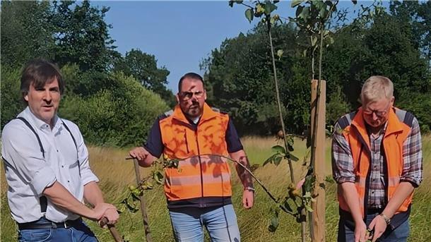 Baum-Challenge in Nordenham: Bürgermeister Nils Siemen (links) pflanzte zusammen mit Lars Steenken (Mitte) und Klaus König vom Bauhof einen Apfelbaum in Atens.