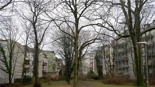 Baumbestand an der Bogenstraße: Die Anwohner möchten den Park erhalten. 