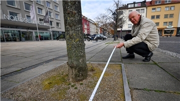 Baumgutachter Andreas Block-Daniel und die Linden auf dem Theodor-Heuss-Platz.