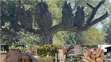 Mehrere geschnitzte Eulen in einem abgestorbenen Baum, ein Rehkitz, ein Bär und eine Moorkate - ebenfalls aus Holz.