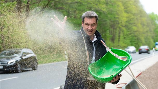 Söders Kommunikationsstrategie lässt Foto-Kosten explodieren Bayerns Ministerpräsident Markus Söder bringt Saatgut für einen „Bienen-Highway“ in Schwaig bei Nürnberg aus.