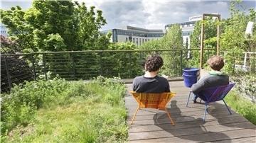 Begrünte Dächer haben in Zeiten des Klimawandels viele Vorteile. Sie verbessern das Stadtklima und fangen Niederschläge auf.