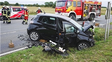 Bei dem Unfall in Sulingen verletzten sich drei Menschen schwer, zudem starb ein Hund.