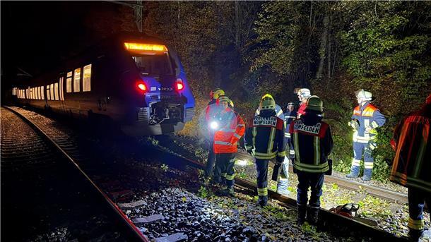 Sturmtief über Deutschland – Bäume stürzen um Bei dem Zusammenstoß mit einem Baum wurde kein Passagier des Zuges verletzt.