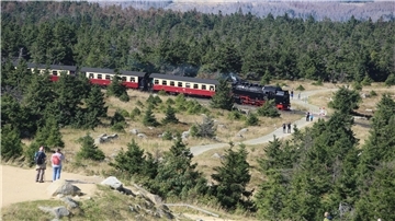 Bei den Harzer Schmalspurbahnen muss investiert werden. (Archivbild)