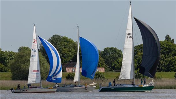 Diese Segler waren bei der Nordenhamer Regatta erfolgreich Bei der Regatta ging es von Nordenham nach Sandstedt und zurück. Die „Hydra“ mit Steuerfrau Anne Schönewald war dabei am schnellsten.