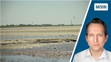 In der linken Hälfte ist das Wattenmeer zu sehen. Rechts daneben ist der Kopf des Autors. 