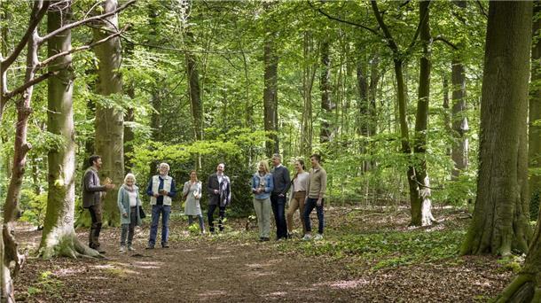 Im Bremervörder FriedWald die letzte Ruhe finden Bei einer Waldführung erfahren Interessierte alles Wissenswerte zur Bestattung in der Natur und erleben die Schönheiten des Waldes.