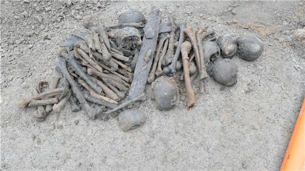 Knochenfund bei Bauarbeiten - Wohl keine Straftat Bei Erdarbeiten nach dem Abriss eines Hauses sind in Lippetal mehrere Schädel und eine Vielzahl von Knochen gefunden worden.