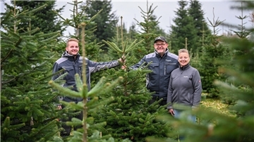 Bei Heike, Thomas und Thilo (li.) Heins in Meckelstedt beginnen die Vorbereitungen auf den weihnachtlichen Tannenbaum-Verkauf.