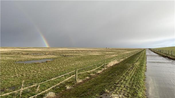 Langwarder Groden