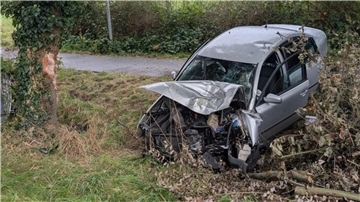 Alkohol am Steuer? 71-Jähriger prallt bei Ringstedt gegen Baum ein beschädigtes Auto steht nach einem Unfall teilweise in einem Graben