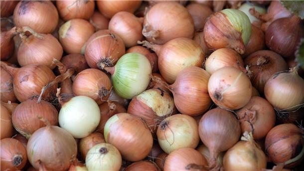 Drei Männer ernten 120 Kilogramm Zwiebeln und flüchten Bei Steddorf haben drei Männer rund 120 Kilogramm Zwiebeln geklaut.