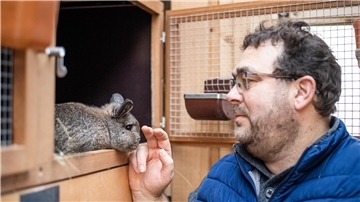 Bei Züchter Hartmut Henschen fühlen sich die Kaninchen pudelwohl.
