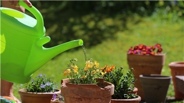 Beim Gießen lässt sich einiges sparen, zum Beispiel, indem man Regenwasser verwendet.