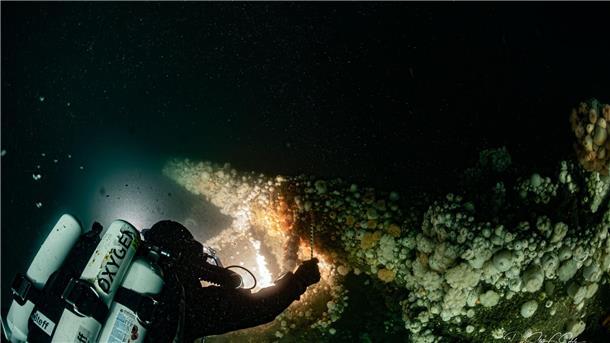 Von deutschem U-Boot versenkt: Forscher tauchen zu Wrack Beim Untergang am 11. März 1915 kamen fast 200 Seeleute ums Leben.
