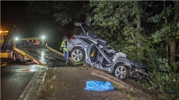 Beim vierten Baum soll das Auto zum Stehen gekommen sein.