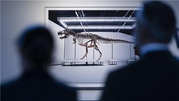 Seltenes T. rex-Skelett bleibt nach Versteigerung in Europa Besucher betrachten das T. rex-Skelett in Zürich.