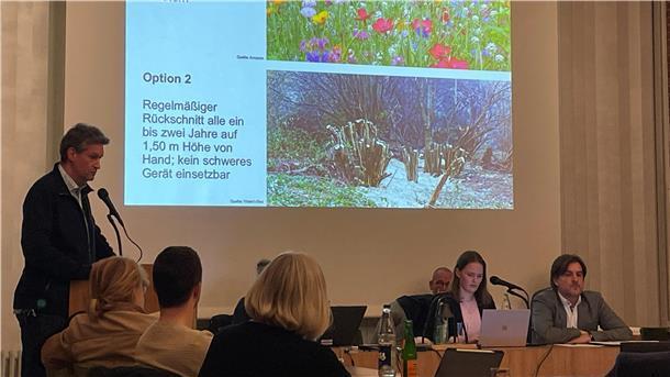 Umweltausschuss-Sitzung in Nordenham zur geplanten Rodung im Strandwald.